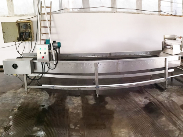 草莓清洗流水線(xiàn)