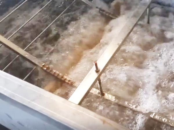 Zhongshuo machinery - betel nut washing machine